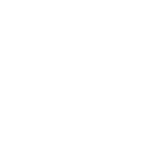 Flowassist-Logo-White.png